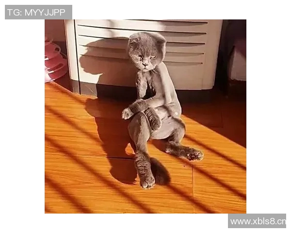 伊森妈妈调侃卡鲁索防守表现真是让人哭笑不得的精彩瞬间